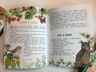 Литературное путешествие по книгам Н.И. Сладкова
