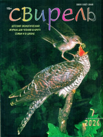 Свирель Свирель