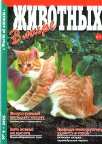 В мире животных