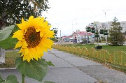 IMG_5398.JPG