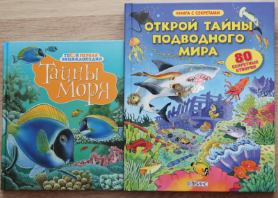 Виртуальная книжная выставка «По морями и океанам»