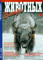 В мире животных