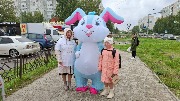Бегущая книга – 2026