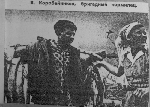 Быков, Н. Мегиония : [очерк] / Н. Быков // Огонек. – 1965. – №32.