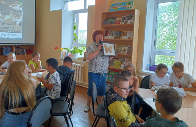 жуки