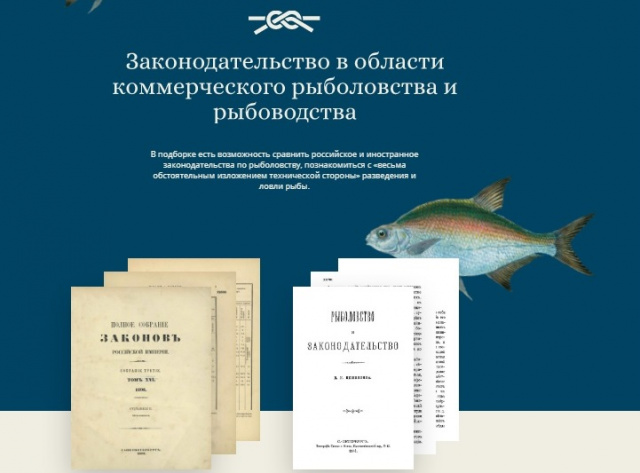 Законодательство1.jpg