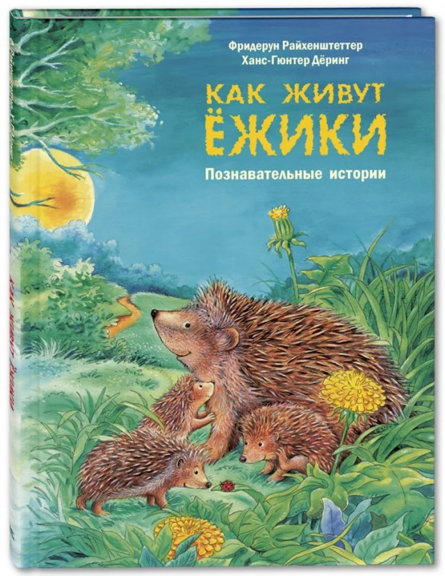 iYG9H46ZG.jpg