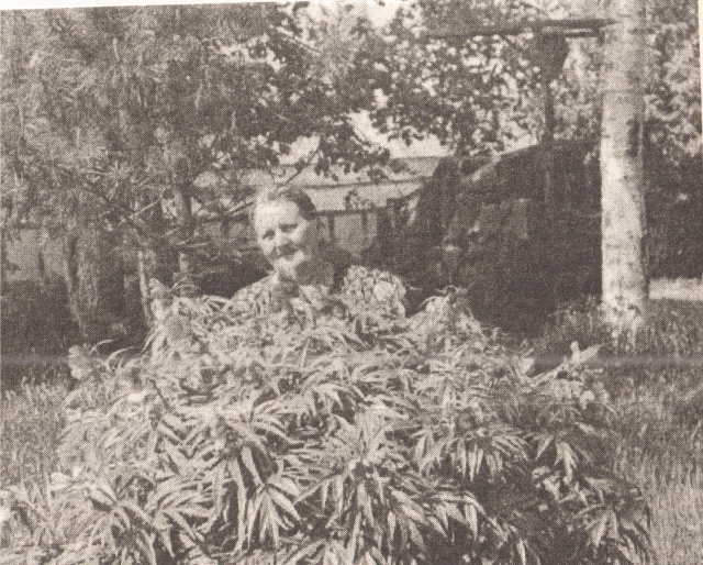 Шлябина.jpg