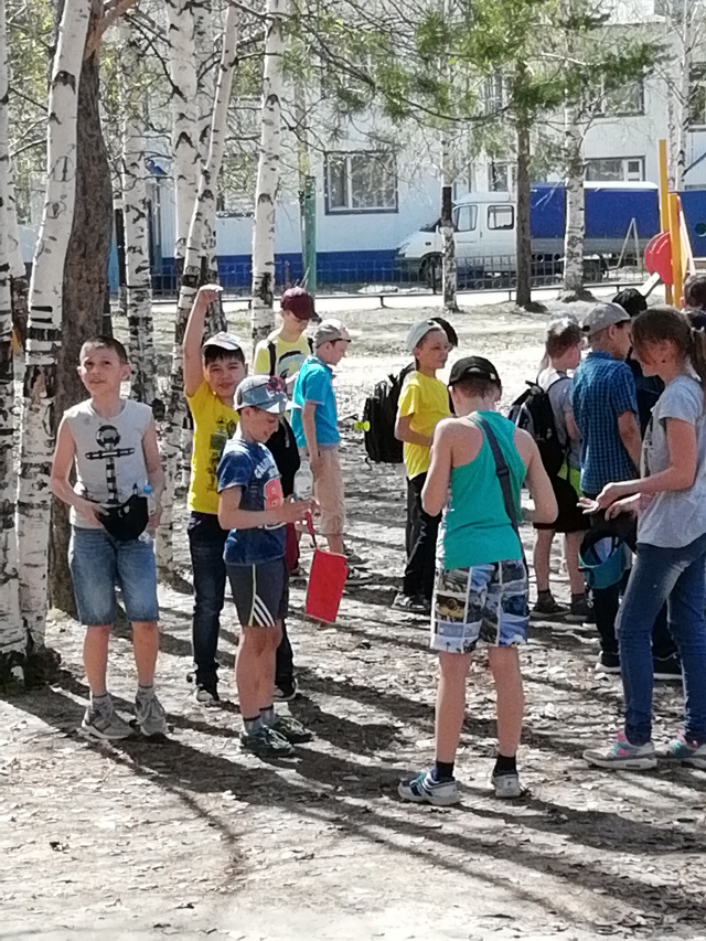 IMG_20180607_120528.jpg