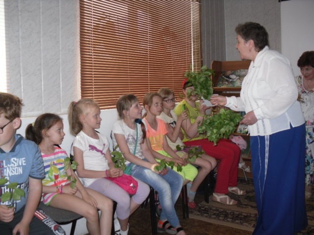 SDC12911.JPG