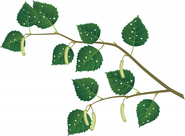 0_109083_fe48e120_orig.png