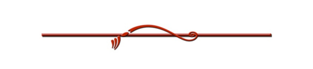 Line-Separator.jpg