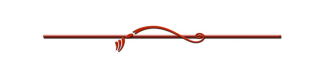 Line-Separator.jpg